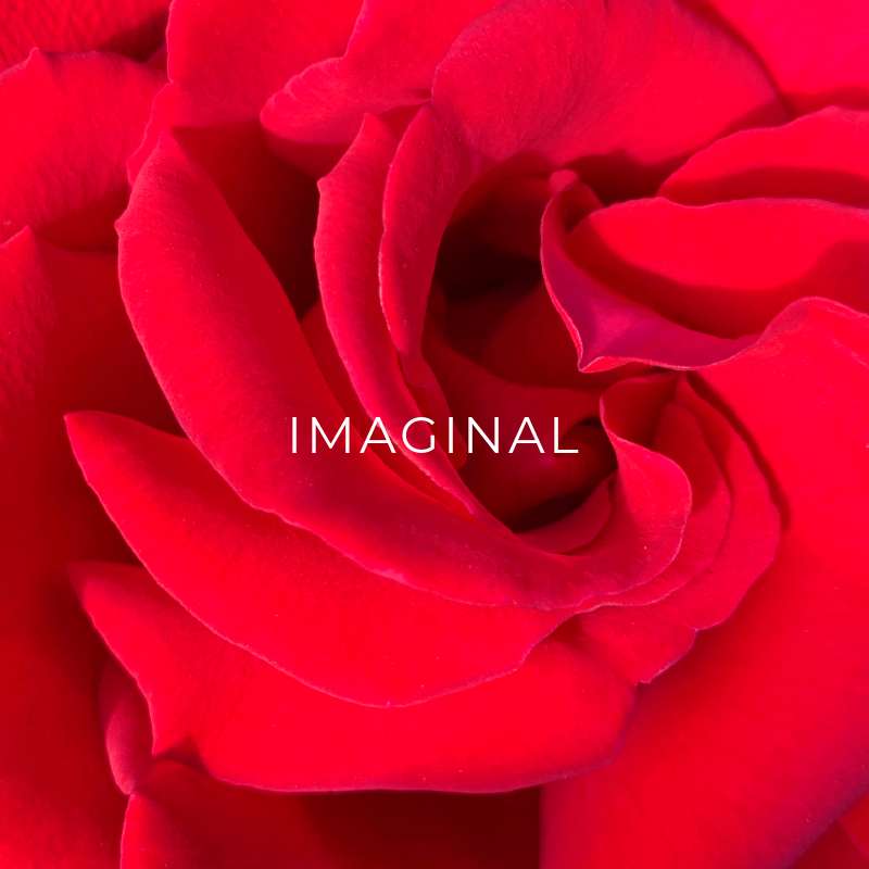 Imaginal gift card